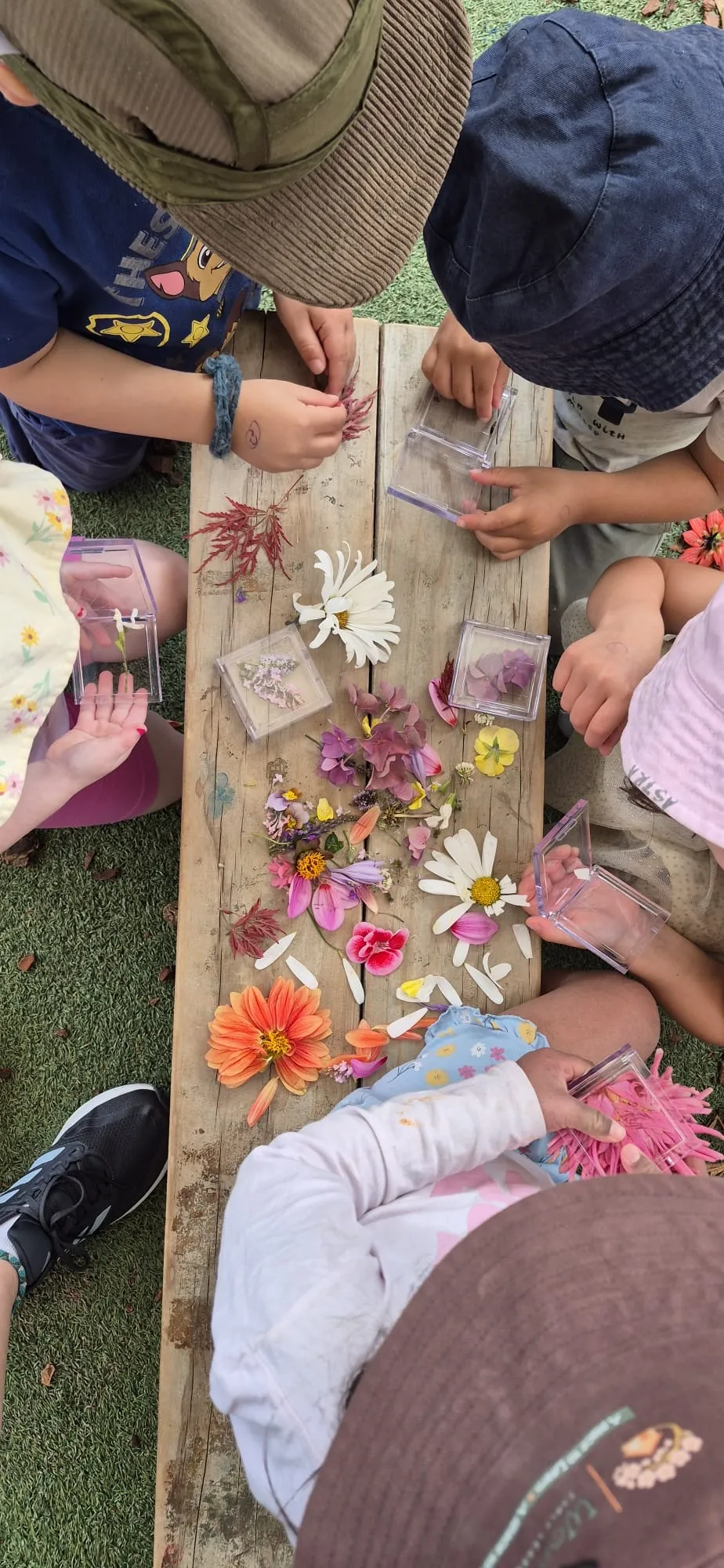 Tamariki sorting bright flower petals into small boxes at an outdoor table